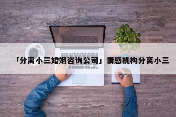 「分离小三婚姻咨询公司」情感机构分离小三