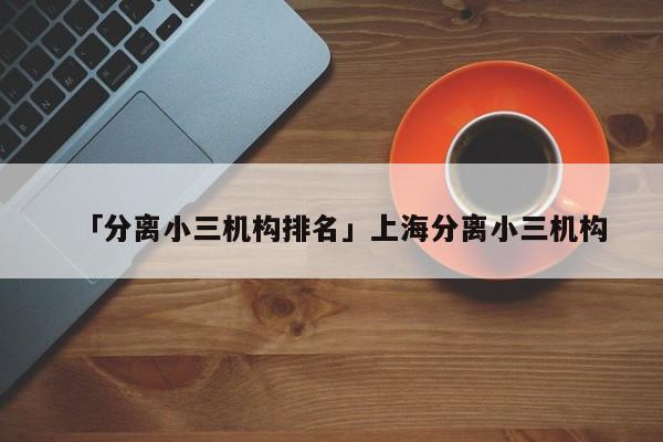 「分离小三机构排名」上海分离小三机构