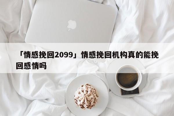 「情感挽回2099」情感挽回机构真的能挽回感情吗