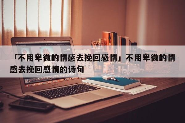 「不用卑微的情感去挽回感情」不用卑微的情感去挽回感情的诗句