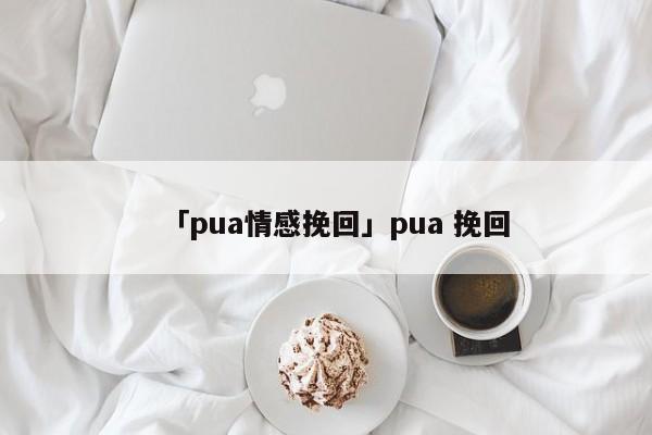 「pua情感挽回」pua 挽回