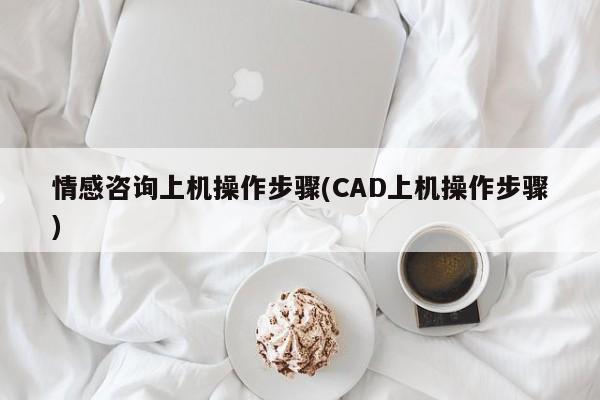 情感咨询上机操作步骤(CAD上机操作步骤)