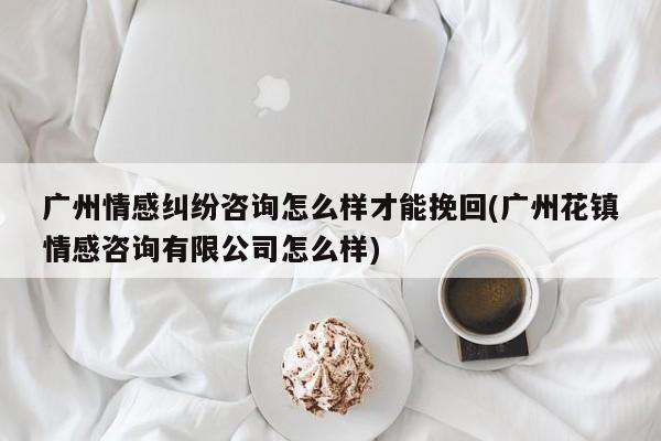 广州情感纠纷咨询怎么样才能挽回(广州花镇情感咨询有限公司怎么样)