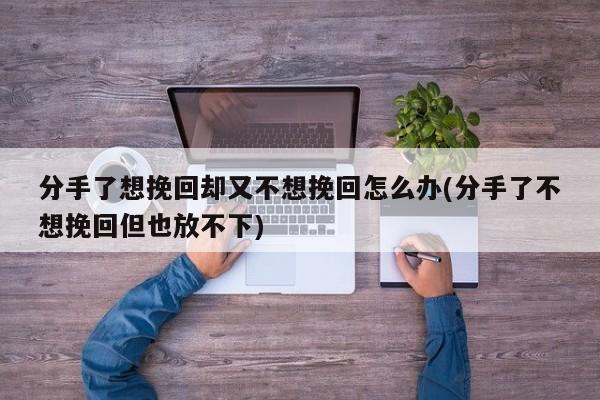 分手了想挽回却又不想挽回怎么办(分手了不想挽回但也放不下)