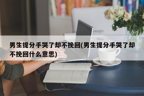 男生提分手哭了却不挽回(男生提分手哭了却不挽回什么意思)