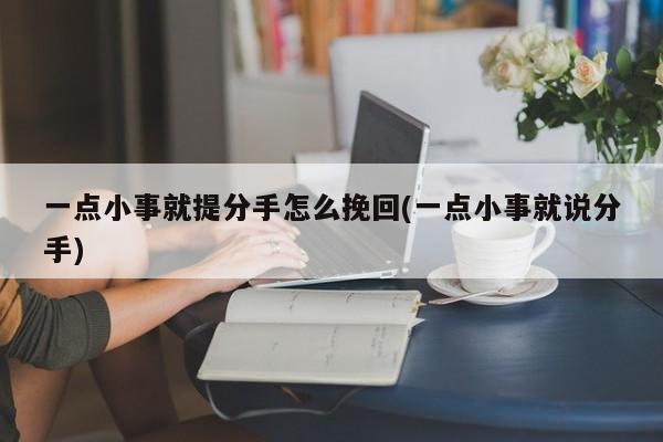 一点小事就提分手怎么挽回(一点小事就说分手)