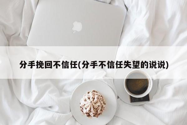 分手挽回不信任(分手不信任失望的说说)