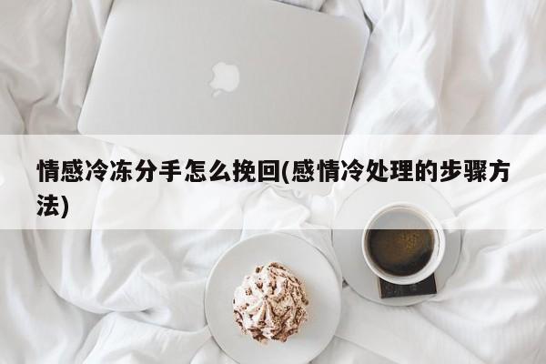 情感冷冻分手怎么挽回(感情冷处理的步骤方法)