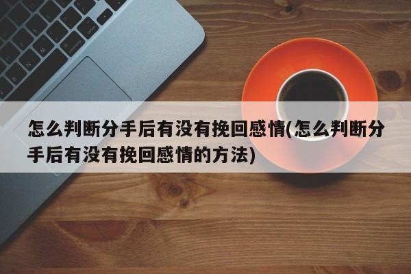 怎么判断分手后有没有挽回感情(怎么判断分手后有没有挽回感情的方法)