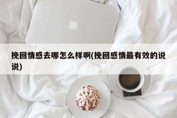 挽回情感去哪怎么样啊(挽回感情最有效的说说)