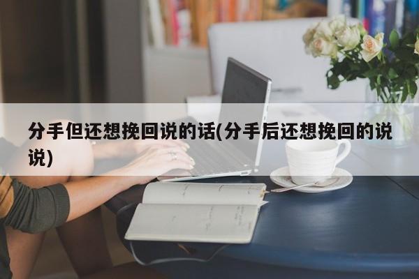 分手但还想挽回说的话(分手后还想挽回的说说)