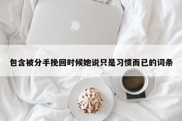 包含被分手挽回时候她说只是习惯而已的词条