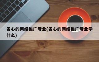 省心的网络推广专业(省心的网络推广专业学什么)