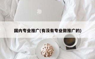 国内专业推广(有没有专业做推广的)