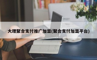 大理聚合支付推广加盟(聚合支付加盟平台)