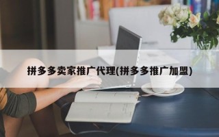 拼多多卖家推广代理(拼多多推广加盟)