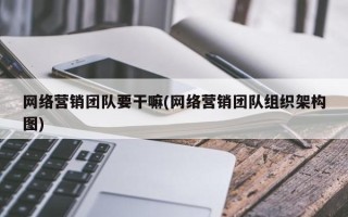 网络营销团队要干嘛(网络营销团队组织架构图)