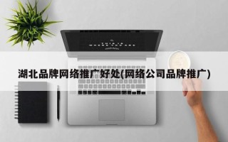 湖北品牌网络推广好处(网络公司品牌推广)