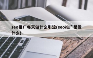 seo推广每天做什么引流(seo推广是做什么)