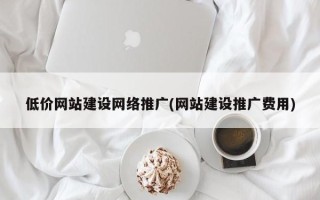 低价网站建设网络推广(网站建设推广费用)