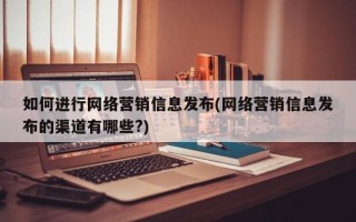 如何进行网络营销信息发布(网络营销信息发布的渠道有哪些?)