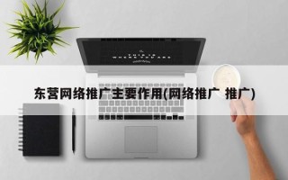 东营网络推广主要作用(网络推广 推广)