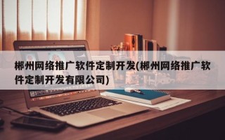 郴州网络推广软件定制开发(郴州网络推广软件定制开发有限公司)