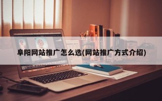 阜阳网站推广怎么选(网站推广方式介绍)