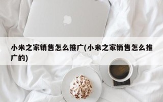 小米之家销售怎么推广(小米之家销售怎么推广的)