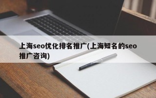 上海seo优化排名推广(上海知名的seo推广咨询)