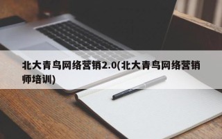 北大青鸟网络营销2.0(北大青鸟网络营销师培训)