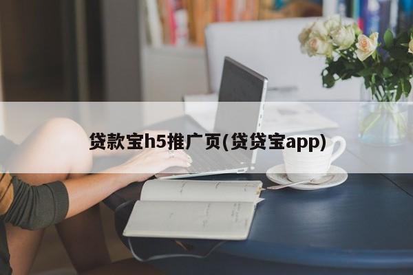 贷款宝h5推广页(贷贷宝app)-第1张图片-信途科技