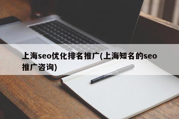 上海seo优化排名推广(上海知名的seo推广咨询)