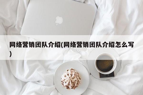 网络营销团队介绍(网络营销团队介绍怎么写)