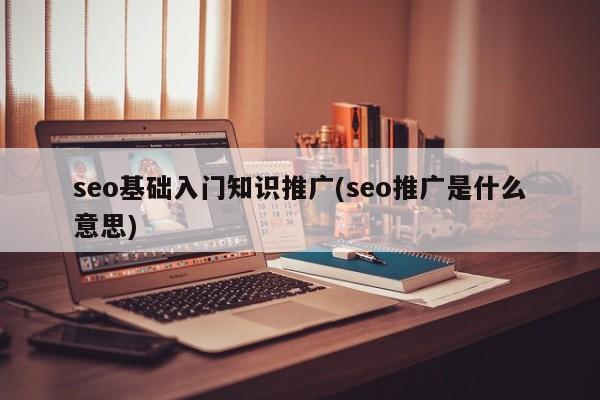 seo基础入门知识推广(seo推广是什么意思)